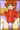 メイドイン俺で千秋先輩