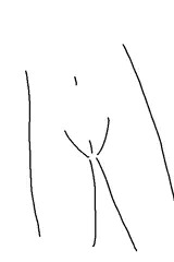 すじ