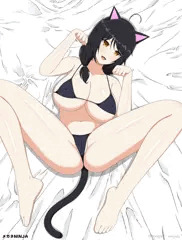 猫