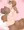(おじさんの)お嫁さんになってあげる