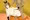 ハロウィンライザ