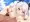 オイゲンのぬるぬる手コキ