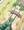 アイヤイ