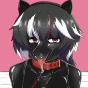 犬調教
