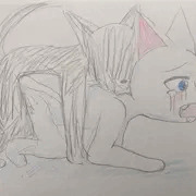 交尾