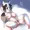 たぬオナ