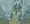 地下温水プール