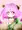 プラム