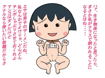 過去まる子ちゃん