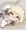 ヒメアリクイちゃん