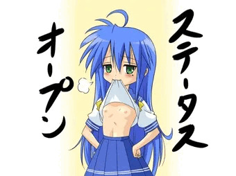 こなたのステータス・オープン!!