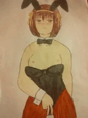 バニーハルヒのおっぱいの所を無性に引っぺがしたくなる病気
