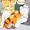 ミアちゃんおみ足