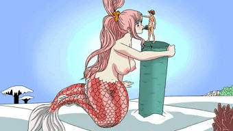 しらほし