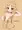 こどもの日2