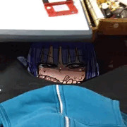 梨花ちゃまが家に来たよ