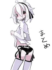 しらがっこ　まとめ