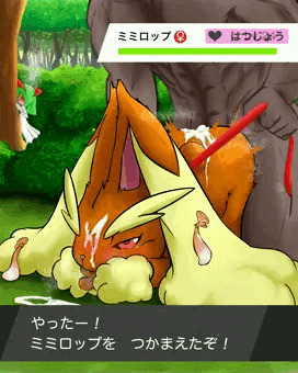 えろうさぎ捕獲