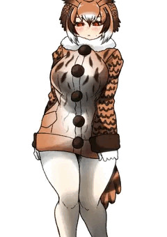 けもキンくんのミミちゃん