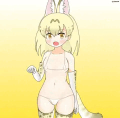 ホワイトサーバルマイクロビキニ部