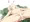 コッコロ１９