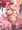 アスナさん（ポケモン）