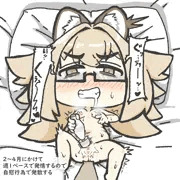 タヌキロリババアの発情期