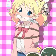 うさみみアリス