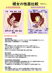 自分のふたなり設定
