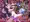 TSF淫魔化エロトラップダンジョン&エロ装備!～淫魔化奴隷船～ 4話