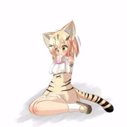 スナネコ
