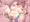 続・謎の個人授業