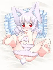 我が家の発情うさぎちゃん