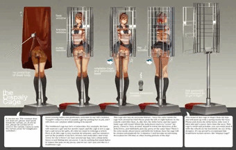Display cage