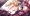 触手に巻かれるマキちゃん