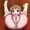 本日の一枚