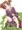 マー子まとめ2