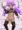 褐色姫