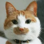 もつもと