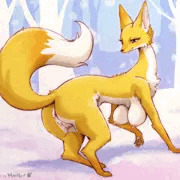 Golden Fox