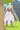 レイチェルおしっこ