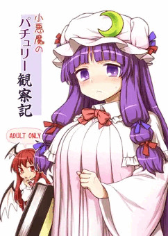C88『小悪魔のパチュリー観察記』サンプル