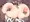 牛おねえさん乳搾り