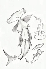 オナホヘッド人魚