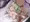 ノゾミちゃん