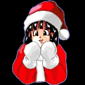 クリスマスの夜に・・・・
