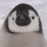 冥土すし