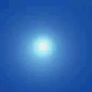 中華一番-雷花