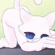 しろねこ　その２