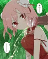 用を足してたらめっちゃ見てくる